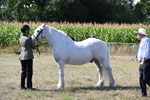WJ6_4898