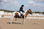 SBM_04163