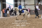 BPP_5805