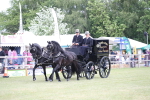 SBM_07005