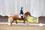 SBM_000954