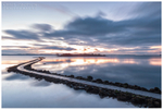 Rough Island, Strangford Lough (IMG0517)