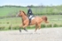 BPP_6758