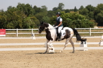 SBM_004272