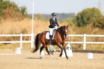 SBM_016517