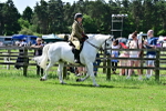 SBM_03933