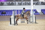 SBM_003640