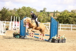 SBM_006463