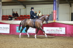 Class J - Foreign Breeds Champ portfolio