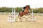 SBM_008447