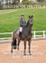 BPP_4523