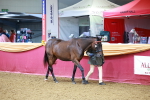 SBM_16108