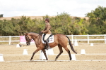 SBM_009797