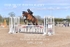 BPP_2198