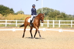 SBM_010513