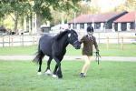SBM_26243