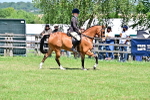 SBM_17397