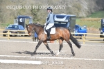 BPP_8518