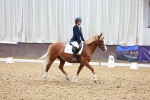 SBM_010312