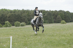 BVHT 140517  NXC -433