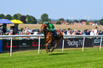 230626-Race 5-Percys Daydream-1481