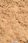 230610A-154250-04098