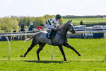 220426-Race 2-Naanas Shadow-0141