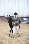 SBM_5446