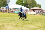 SBM_16718