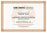 Chromatic International Color Photography Awards_2020_Nature