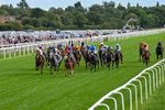 190826-Race 6-Miss Yechance-0688