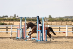 SBM_000187