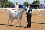 SBM_08071