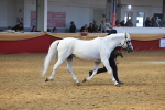 SBM_16681