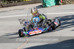 GKMC_Hillclimb_05-08-2017_KART-11