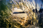 w037 Glassy Hollow Wave, Sandown Bay