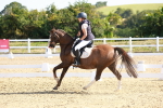 SBM_008399