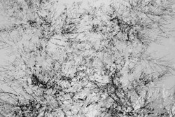 Marble