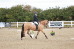 SBM_009068