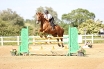 SBM_005313