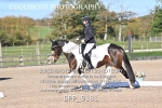 BPP_9181