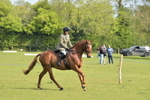 Class 19 - Retraining Of Racehorses portfolio