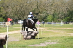 WJ6_5817