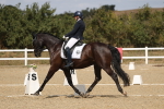 SBM_021981