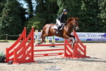 Cls 6 Snr British Novice and 90cm Open portfolio