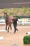 Trot Up 3.30 to 4.30 portfolio