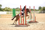 SBM_000346