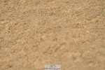 230409A-104224-00392