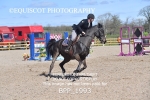 BPP_1993
