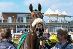 300824-Race 5-Shesashambles-6301